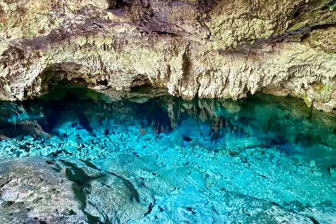 Zanzibar: visita ai delfini di Mnemba, alla foresta di Jozani e alla grotta di Kuza