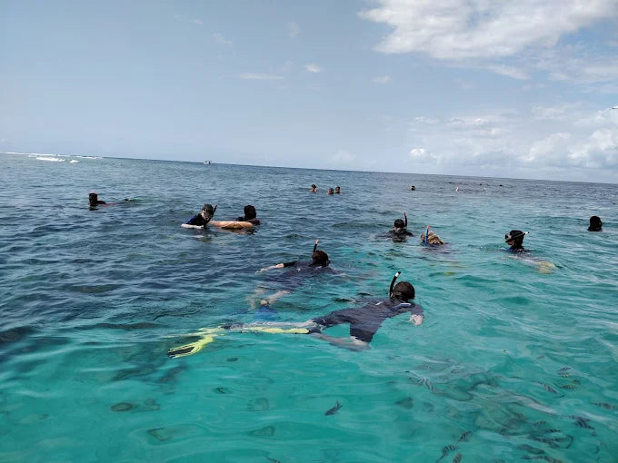 Zanzibar: Mnemba Island Dolphin Watching and Snorkelling Tour