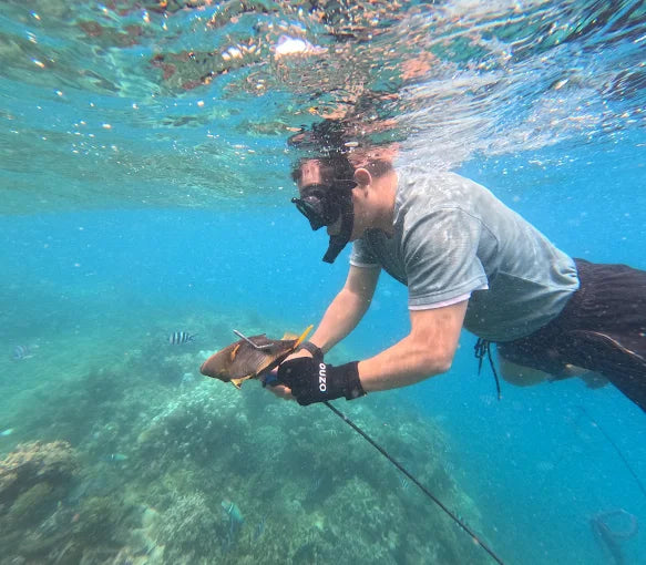 Zanzibar: Mnemba Island Dolphin Watching and Snorkelling Tour