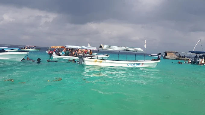 Zanzibar: Mnemba Island Dolphin Watching and Snorkelling Tour