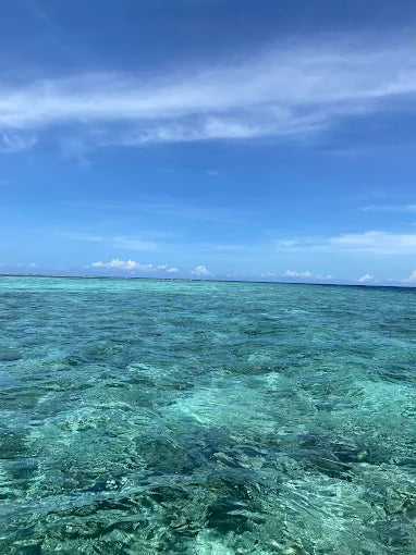 Zanzibar: Mnemba Island Dolphin Watching and Snorkelling Tour