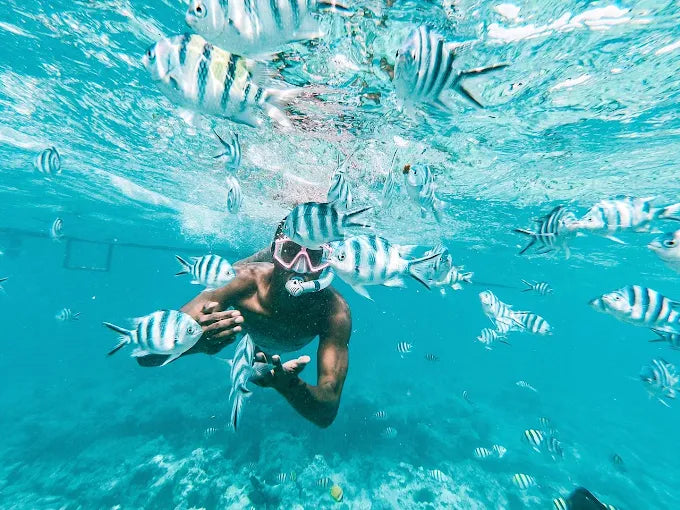 Zanzibar: Mnemba Island Dolphin Watching and Snorkelling Tour