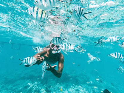 Zanzibar: Mnemba Island Dolphin Watching and Snorkelling Tour
