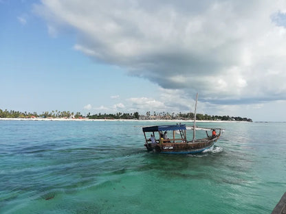 Zanzibar: Mnemba Island Dolphin Watching and Snorkelling Tour