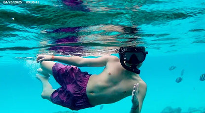 Zanzibar: Mnemba Island Dolphin Watching and Snorkelling Tour