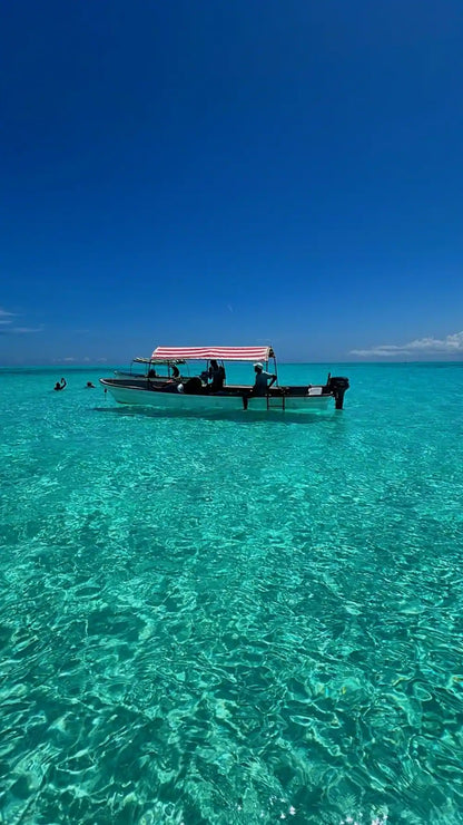 Zanzibar: Mnemba Island Snorkeling and Kendwa Beach Private Tour