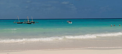 Zanzibar: Mnemba Island Snorkeling and Kendwa Beach Private Tour