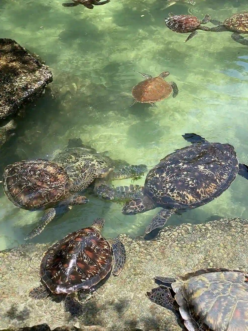 Zanzibar: Mnemba Island Snorkeling and Kendwa Beach Private Tour