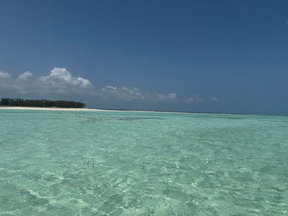 Zanzibar: Mnemba Island Snorkeling and Kendwa Beach Private Tour
