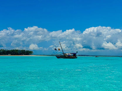 Sansibar: Mnemba-Insel Schnorcheln und Schwimmen mit Delfinen Tour