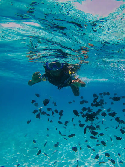 Sansibar: Mnemba-Insel Schnorcheln und Schwimmen mit Delfinen Tour