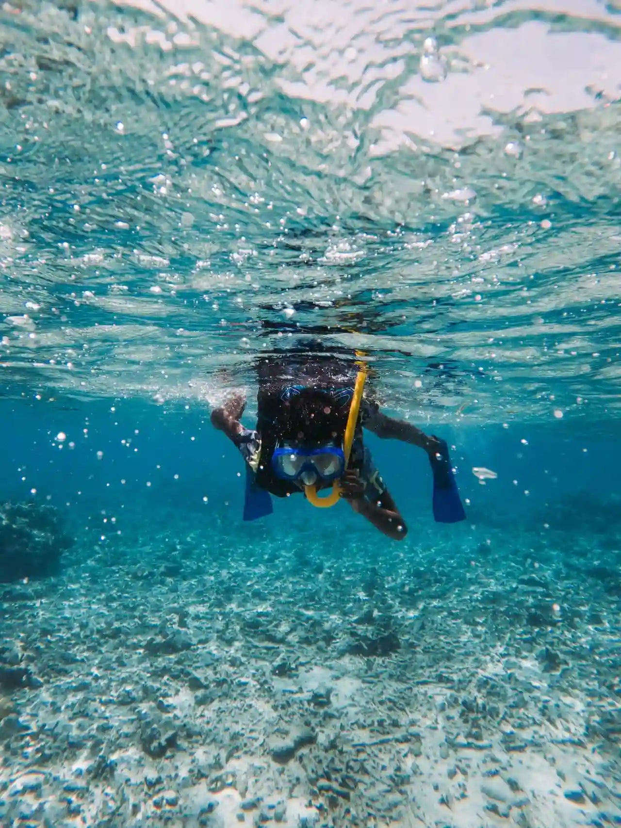 Sansibar: Mnemba-Insel Schnorcheln und Schwimmen mit Delfinen Tour