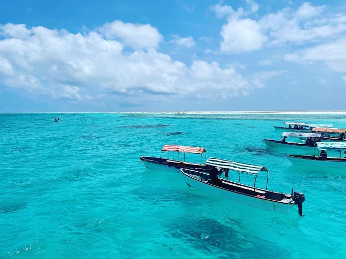 Zanzibar: Tur privat la Insula Mnemba, Pădurea Jozani și Centrul de Fluturi