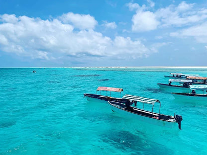 Zanzibar: Tur privat la Insula Mnemba, Pădurea Jozani și Centrul de Fluturi