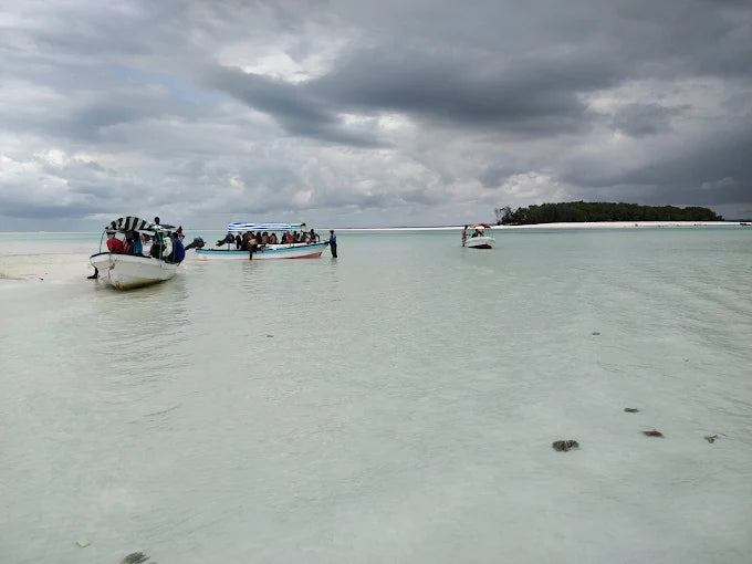 Zanzibar: Tur privat la Insula Mnemba, Pădurea Jozani și Centrul de Fluturi