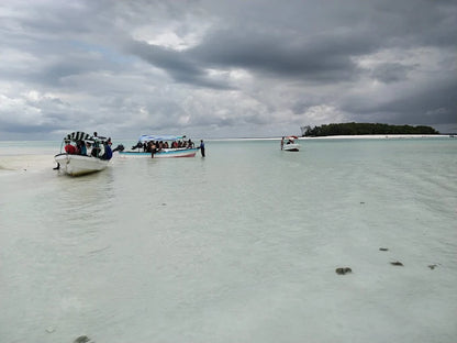 Zanzibar: Tur privat la Insula Mnemba, Pădurea Jozani și Centrul de Fluturi