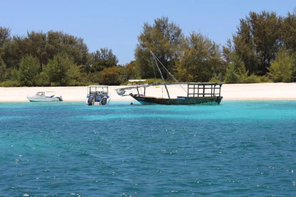 Zanzibar: Tur privat la Insula Mnemba, Pădurea Jozani și Centrul de Fluturi