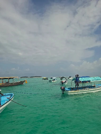 Zanzibar: Tur privat la Insula Mnemba, Pădurea Jozani și Centrul de Fluturi