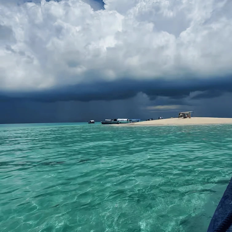 Zanzibar: Tur privat la Insula Mnemba, Pădurea Jozani și Centrul de Fluturi