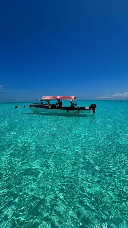 Zanzibar: Tour pela Ilha Mnemba, Ilha da Prisão e Stone Town