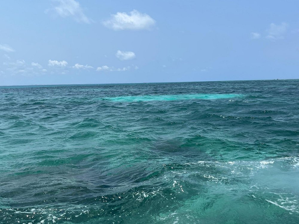 Zanzibar: Tour pela Ilha Mnemba, Ilha da Prisão e Stone Town