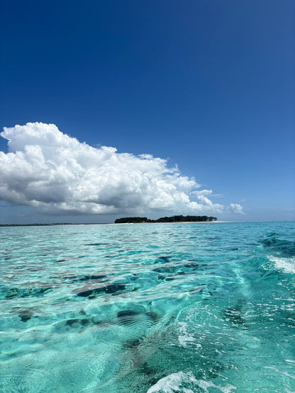 Zanzibar: Tour pela Ilha Mnemba, Ilha da Prisão e Stone Town