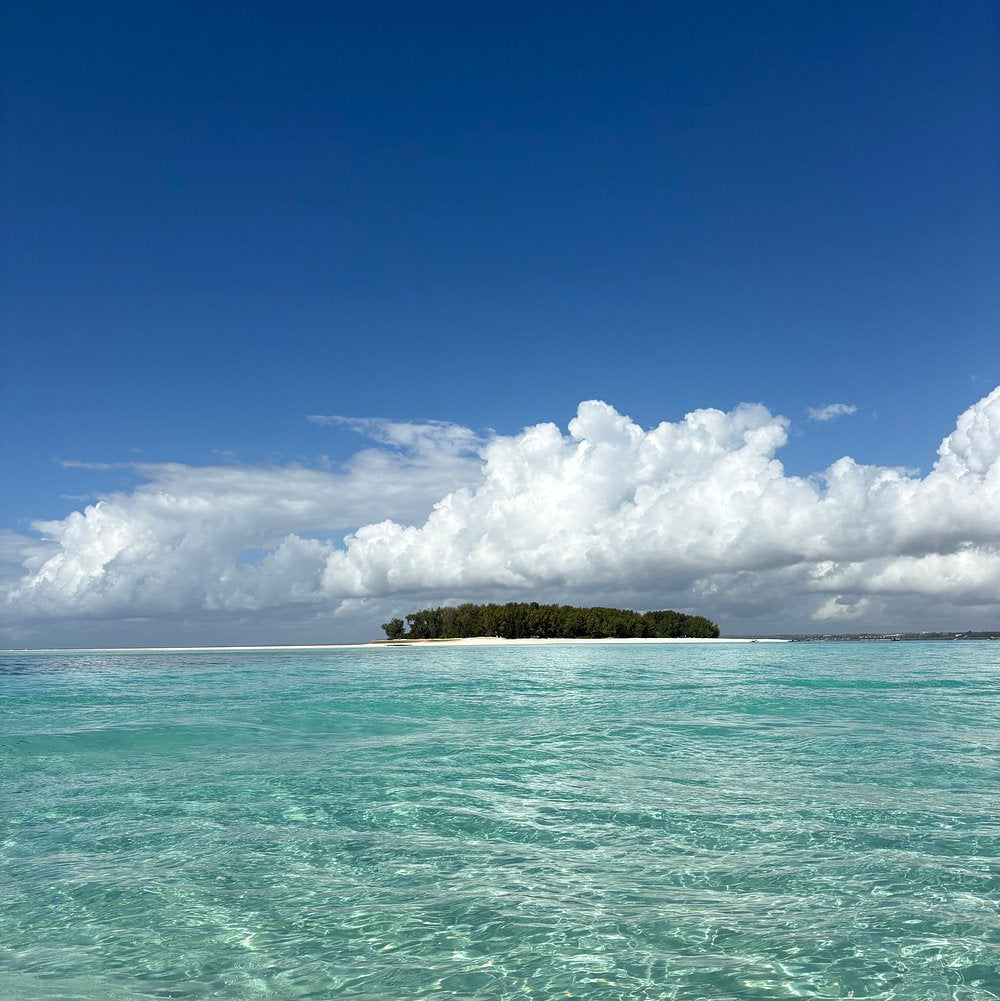 Zanzibar: Tour pela Ilha Mnemba, Ilha da Prisão e Stone Town