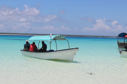 Zanzibar: Tur privat pe Insula Mnemba și în Pădurea Jozani
