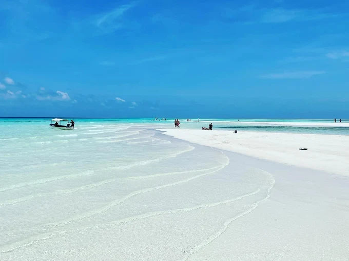 Zanzibar: Tur privat pe Insula Mnemba și în Pădurea Jozani