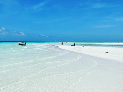 Zanzibar: Tur privat pe Insula Mnemba și în Pădurea Jozani