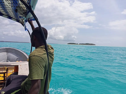 Zanzibar: Tur privat pe Insula Mnemba și în Pădurea Jozani