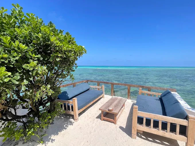 Zanzibar: Tur privat pe Insula Mnemba și în Pădurea Jozani