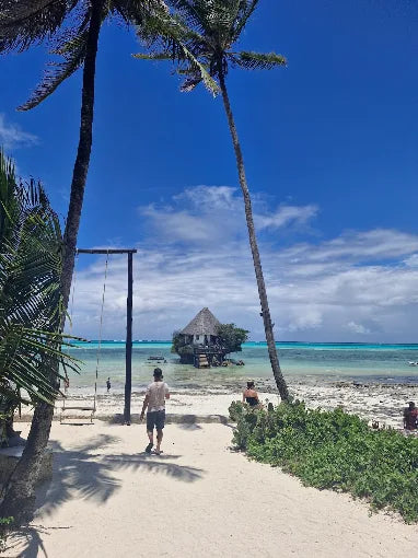 Zanzibar: Tur privat pe Insula Mnemba și în Pădurea Jozani