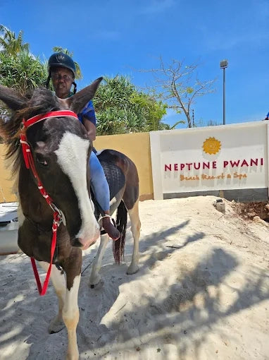 Zanzibar: One-Hour Private Horseback Riding Tour