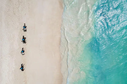 Zanzibar: One-Hour Private Horseback Riding Tour