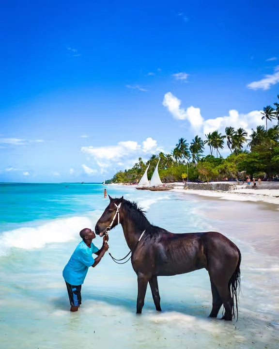 Zanzibar: One-Hour Private Horseback Riding Tour
