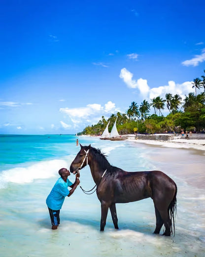 Zanzibar: One-Hour Private Horseback Riding Tour