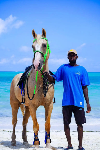 Zanzibar: One-Hour Private Horseback Riding Tour