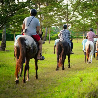 Zanzibar: One-Hour Private Horseback Riding Tour