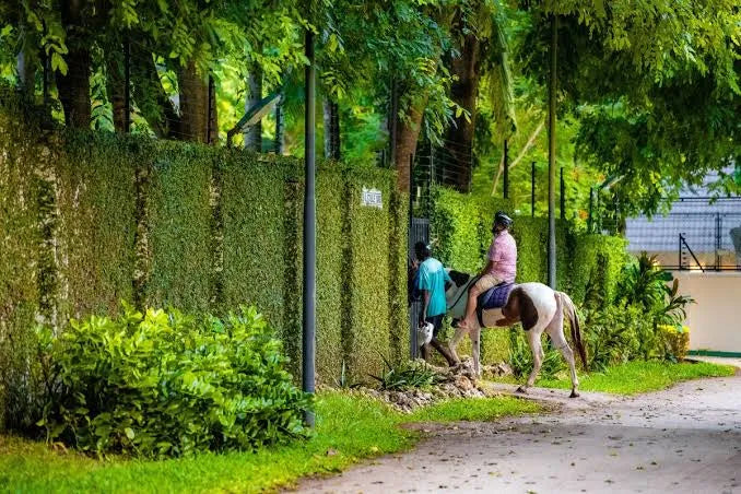 Zanzibar: One-Hour Private Horseback Riding Tour