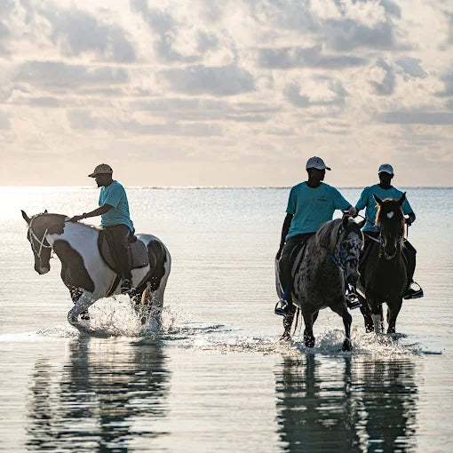 Zanzibar: One-Hour Private Horseback Riding Tour