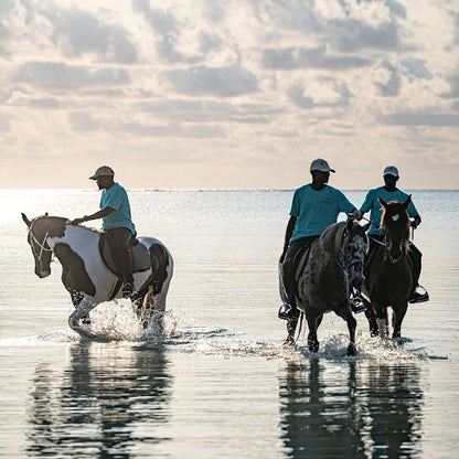 Zanzibar: One-Hour Private Horseback Riding Tour