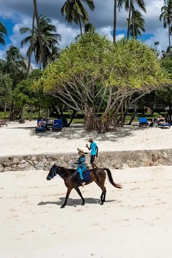 Zanzibar: One-Hour Private Horseback Riding Tour