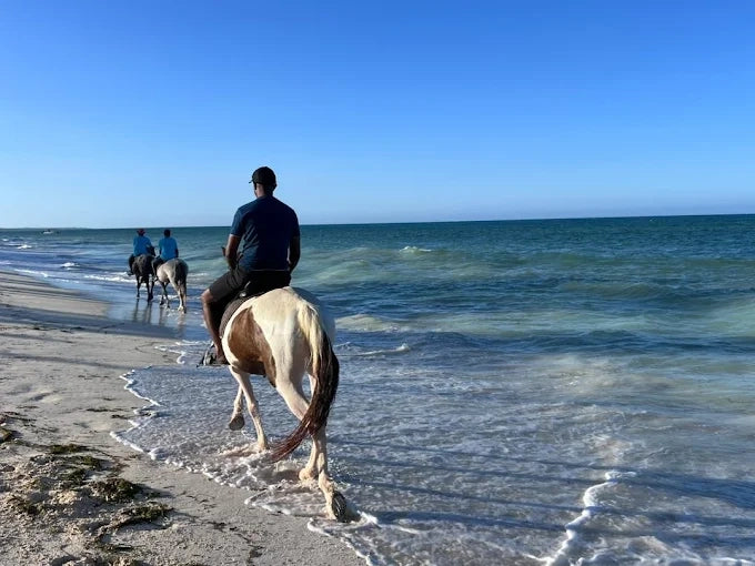 Zanzibar: One-Hour Private Horseback Riding Tour