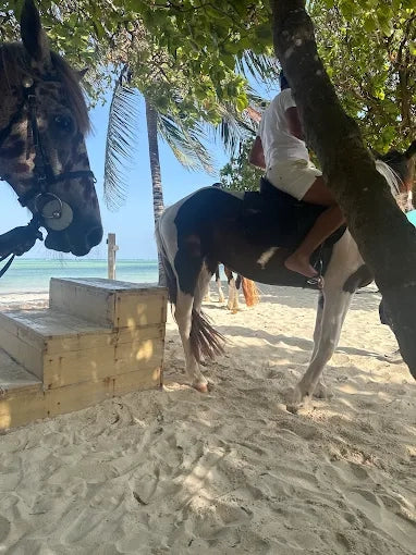 Zanzibar: One-Hour Private Horseback Riding Tour