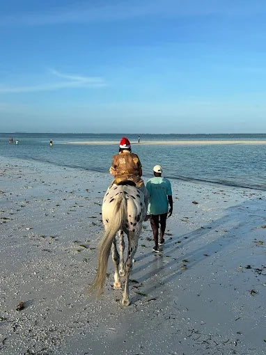 Zanzibar: One-Hour Private Horseback Riding Tour