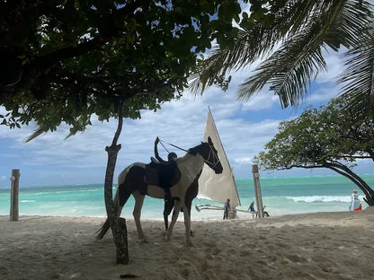 Zanzibar: One-Hour Private Horseback Riding Tour