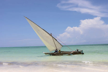 Zanzibar: Pongwe Coral Reef Snorkeling Private Tour