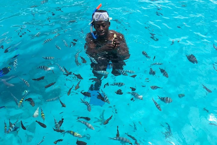 Zanzibar: Pongwe Coral Reef Snorkeling Private Tour
