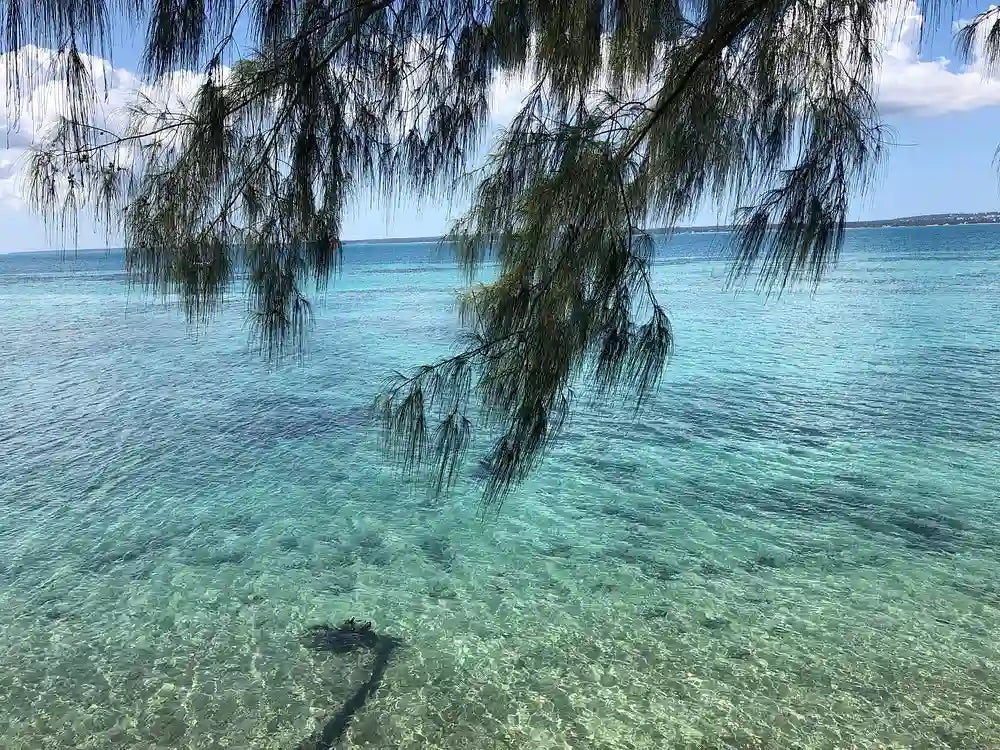 Zanzibar: Tur Privat ke Prison Island, Perkebunan Rempah, dan Berenang di Gua Kuza